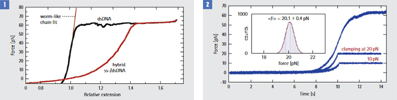 dna-elasticity-800.jpeg